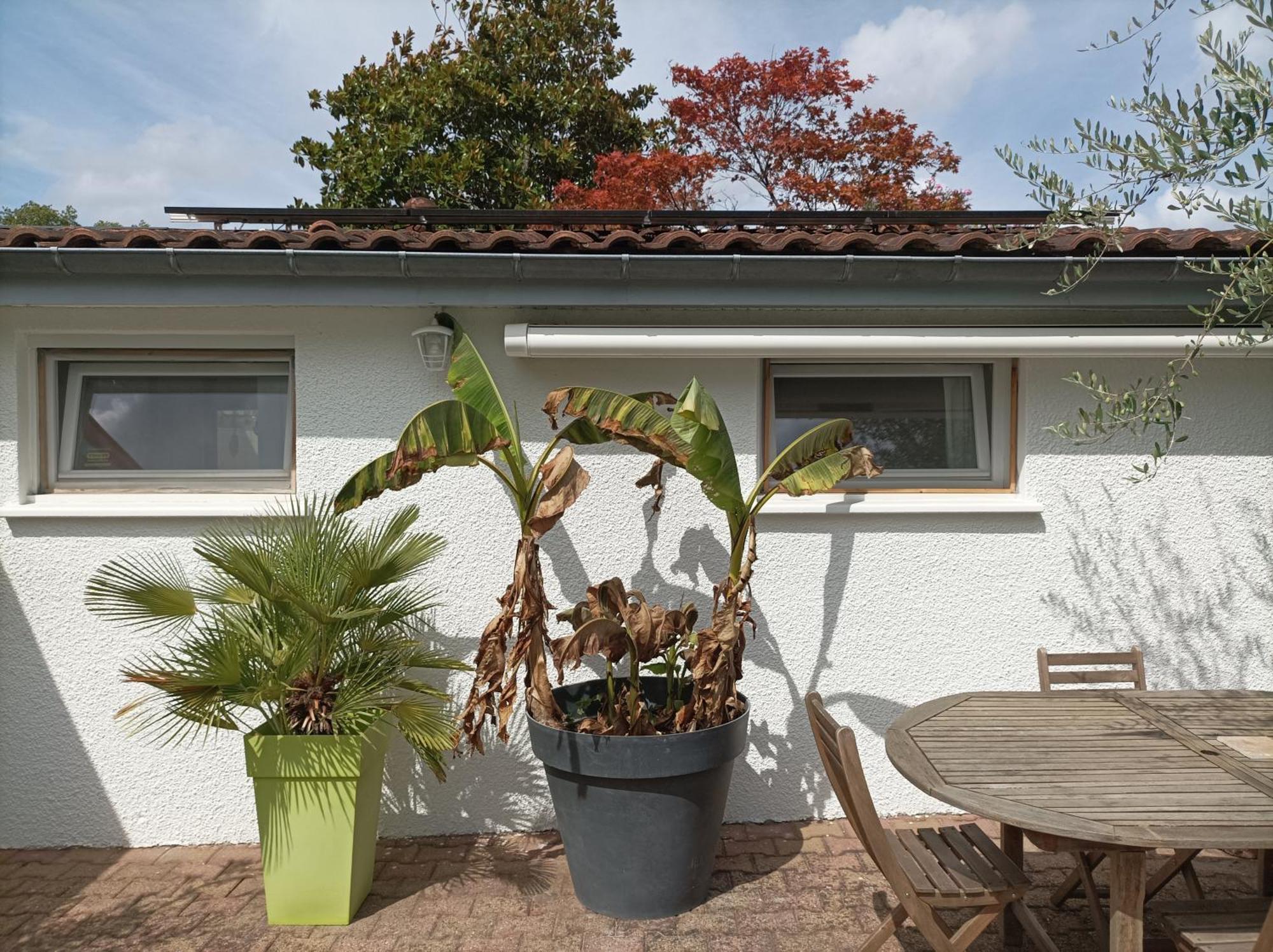 Cosy Et Salle D'eau Dans Maison Arlac Séjour chez l'habitant Mérignac